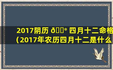 2017阴历 💮 四月十二命格（2017年农历四月十二是什么星 🌾 座）